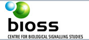 bioss.jpg