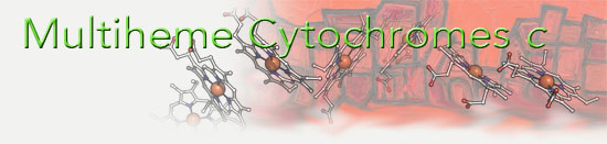 cytochromes-header.jpg